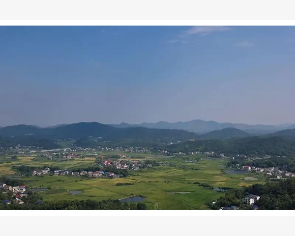 MT4电脑版内存占用偏高的背后原因与应对思路
