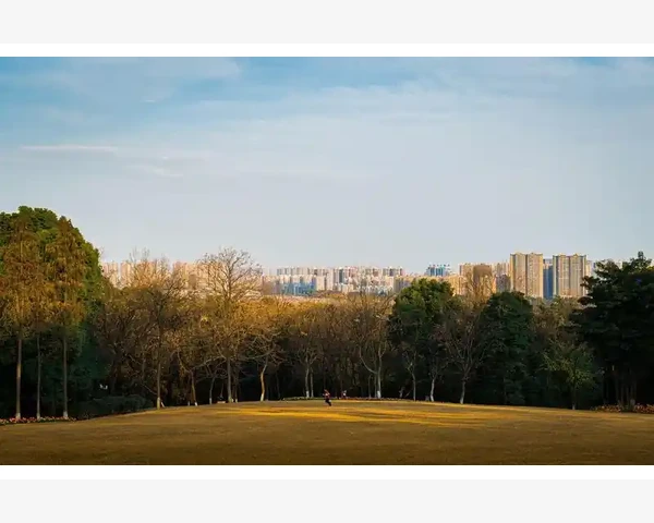 一呼百应B2B平台如何重塑企业采购新体验_流量获取和客户转化要打组合拳