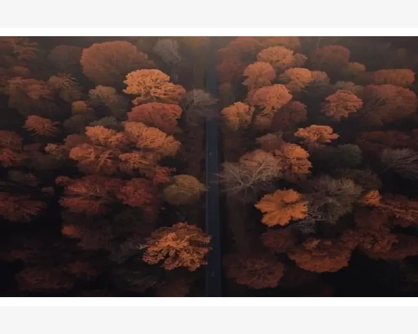 B2B网站实用名录与平台特性速览_B2B网站实用名录与平台特性速览