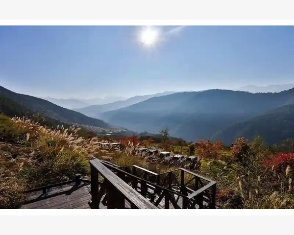 沃易购终端B2B交易实操全流程详解_线上平台如何改变进货习惯