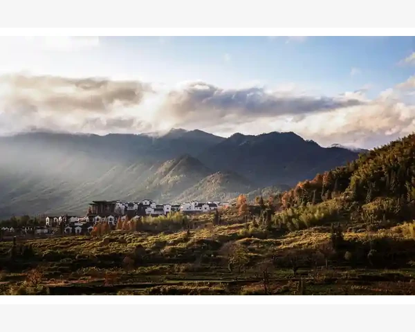 阿里B2B欺诈陷阱揭秘与防范要点_阿里B2B欺诈陷阱揭秘与防范要点