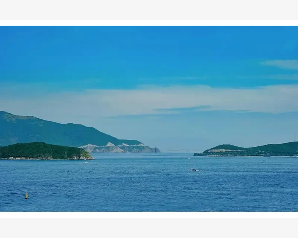 跨境电商B2B出口申报全流程实战拆解_业务中台层:核心交易逻辑的发动机