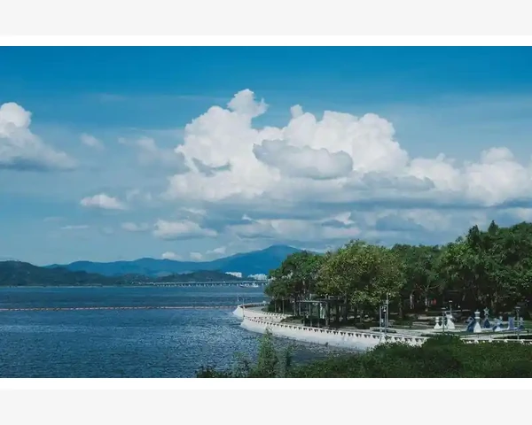 MT4指标偏移量让趋势判断更精准的隐藏功能