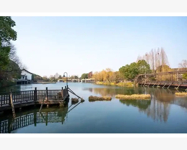 MT4加载指标后无显示排查问题根源