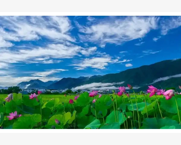 一号店B2B商家入驻与运营全流程实操_航材采购与库存管理的智能化