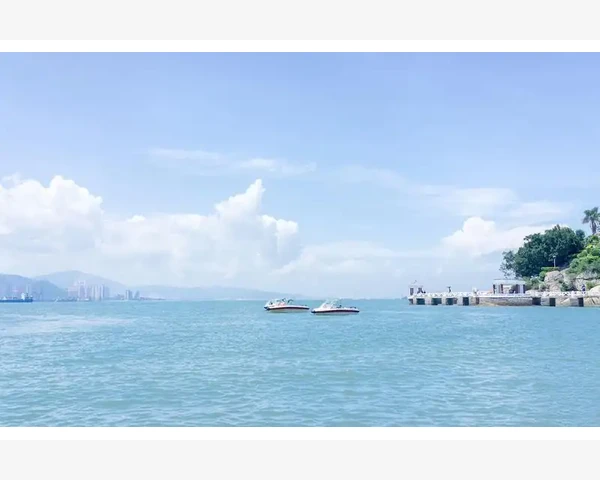 育苗穴盘选购与使用养护关键点_明确响应时限的起点和终点